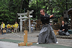 画像リンク：2016年6月大國魂神社奉納演武
[Jun. 2016 A dedicatory TOYAMARYU Enbu @Ookunitama Shrine, Tokyo]