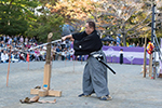 2018年10月　町田時代祭り[Oct.2018 Machida Jidai Matsuri]