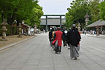 令和4年4月27日　靖国神社奉納演武2022[2022　Yasukuni shrine dedication]