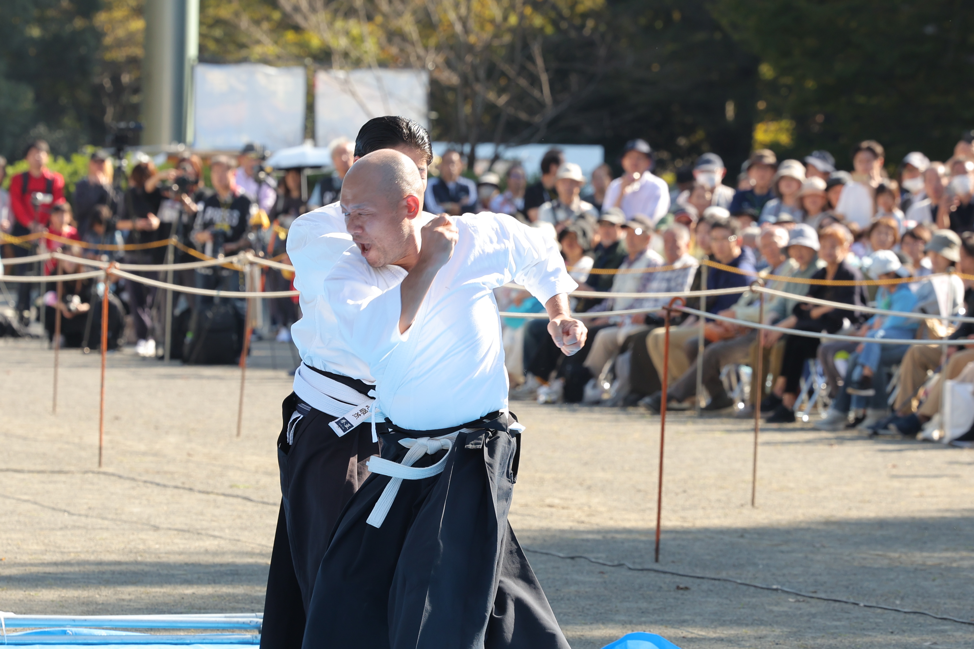 024年11月4日　町田時代祭[Nov 04, 2024 Machida Jidai Matsuri]