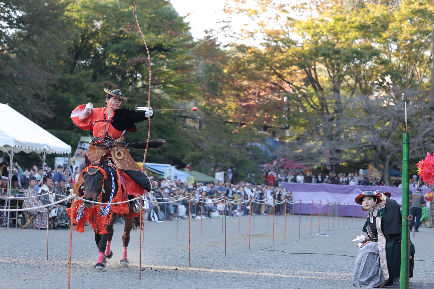 写真:村木 津三郎